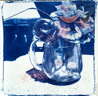 Rose in Water Pitcher Matted $300